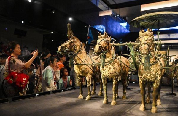 配资首选门户网站 暑期生活有“趣”处